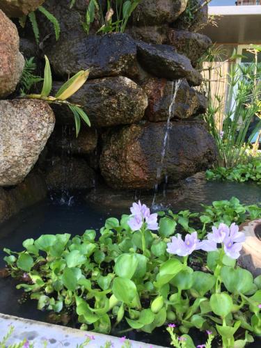 a pond with purple flowers and a waterfall at Baan Boom Boxes Eco Friendly Resort in Mae Nam