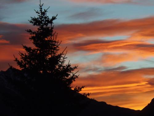 a tree on a mountain with a sunset in the background at Chalet l'aubépine résidence B&B in Bessans