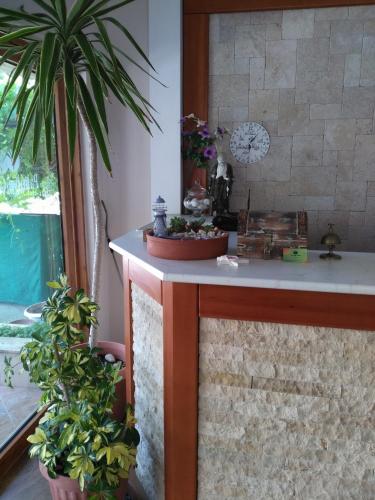 a counter in a room with a palm tree at Palmiye Hotel in Özdere