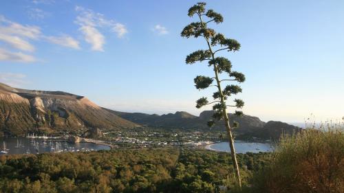 a tree on top of a hill with a city at Vulcano Dimore in Vulcano