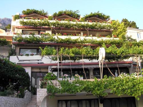 Bed and Breakfast RiB