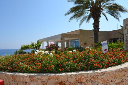 a flower garden in front of a house with a palm tree at Aphrodite Beach Hotel in Polis Chrysochous