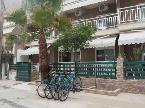 a group of bikes parked next to a palm tree at Zonita Guest House in Nea Plagia