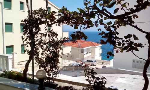 Apartments Damjan