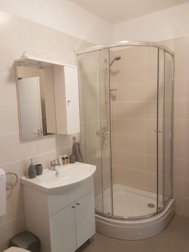a bathroom with a shower and a sink and a mirror at Apartments Lucija in Senj
