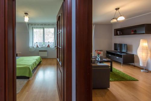 ザコパネにあるApart4You Apartamenty Borutaのベッドルーム1室(ベッド1台付)、リビングルームが備わります。