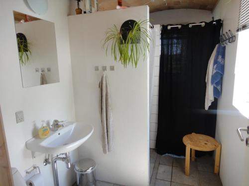 uma casa de banho com um lavatório e um chuveiro em Nordkap Farm Holiday & Hostel em Bindslev