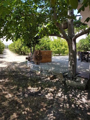 a bench under a tree in a park at KaliVie Bio Farm & Retreat in Moírai