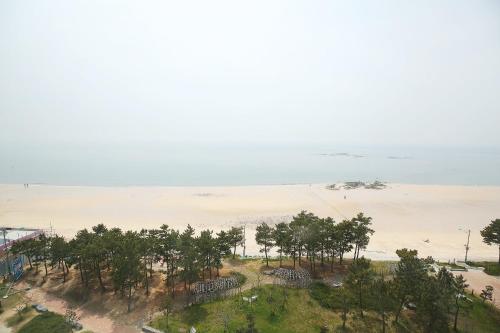 an aerial view of a beach and the ocean at Hotel Lohas in Boryeong