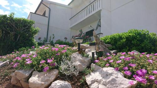 Κήπος έξω από το Apartments Anastazija
