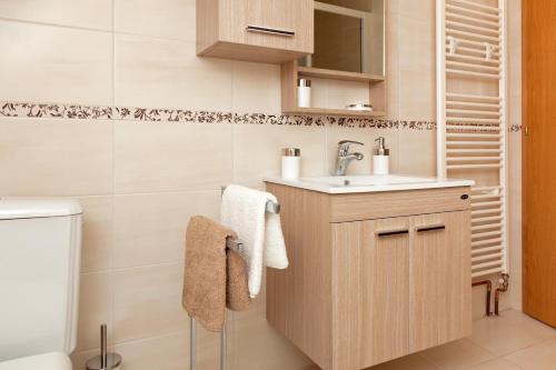 ein Bad mit einem Waschbecken und einem WC in der Unterkunft Apartment Majetić in Gornji Vaganac
