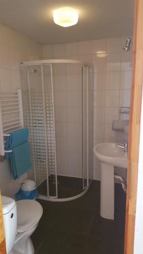 a bathroom with a shower and a toilet and a sink at Połonina in Korbielów