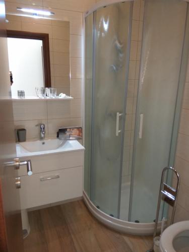 a bathroom with a shower and a sink at B&B Villa Oasa 3 in Rovinjsko Selo