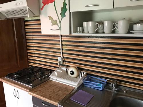a kitchen with a stove and a counter top at Sadyba u Gansa in Svityazʼ