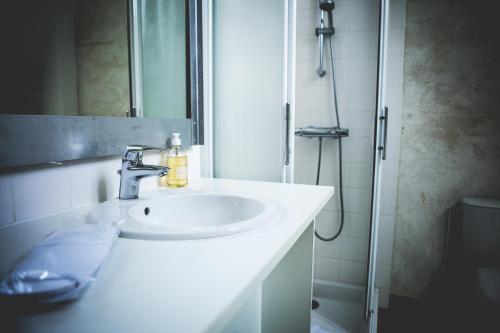 La salle de bains est pourvue d'un lavabo et d'une douche. dans l'établissement Surprenantes - Château du Pé, à Saint-Jean-de-Boiseau