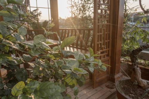 a porch with a wooden deck with a plant at Zen Tea House Seven Stars Park in Guilin