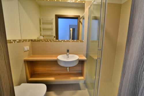 uma casa de banho com um lavatório e um chuveiro em DW Koral em Niechorze