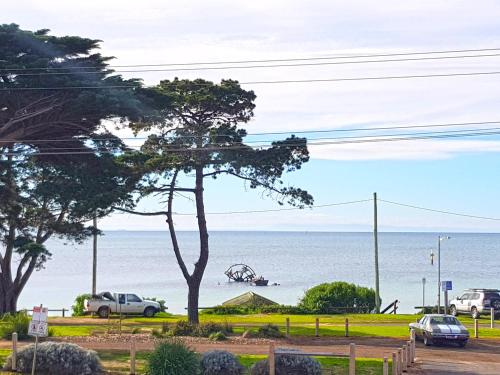 un árbol en la playa con el océano en el fondo en The Esplanade Holiday Home, en Indented Head