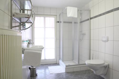 バート・ヴィンツハイムにあるHotel Garni Goldene Traubeの白いバスルーム(トイレ、シャワー付)
