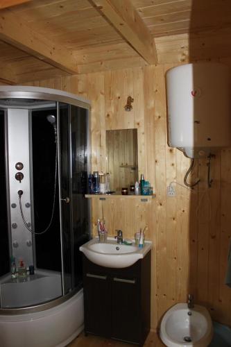 a bathroom with a sink and a shower and a toilet at Domek "U Magdy" in Sasino