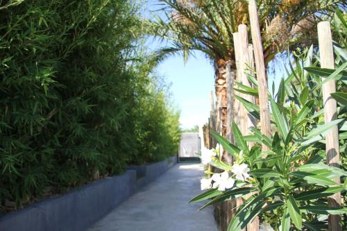 ścieżka z roślinami i drewnianym płotem w obiekcie Mas de l Aire w mieście Corneilla-del-Vercol