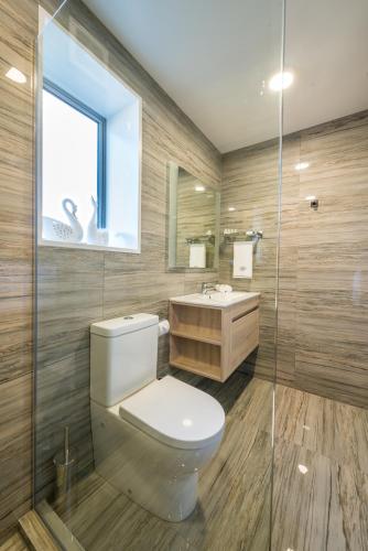 a bathroom with a toilet and a sink at Golden Star Motel in Christchurch