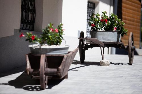 two flower pots on a cart with flowers in it at Barn House MM in Bled