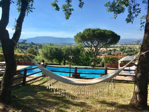a hammock hanging between two trees next to a pool at Casa Limonaia in Arezzo
