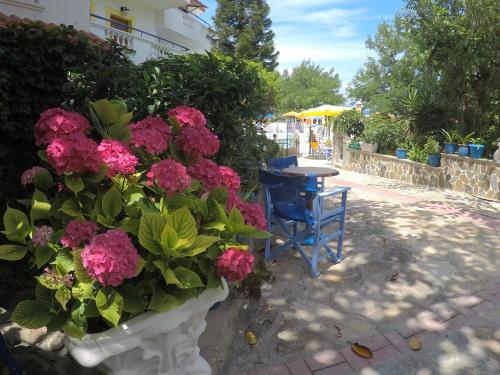 a vase filled with pink flowers next to a blue chair at Apartments Zafiria in Ágios Konstantínos
