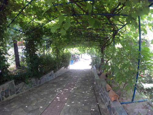an arbor with plants on a street at Apartments Zafiria in Ágios Konstantínos