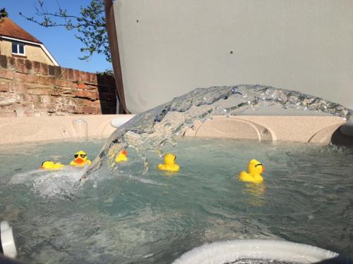 a group of rubber ducks in a swimming pool at Little Parklands Apt2 in Sandown