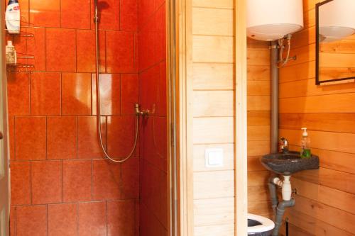 a bathroom with a shower and a sink at Guest House Pītagi in Košrags