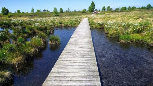 a wooden bridge over a river in a field at Venngasthof Zur Buche in Monschau