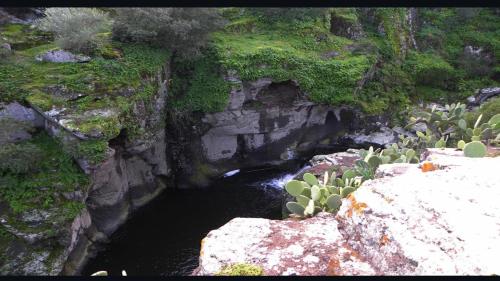 a stream of water in a canyon with rocks and plants at B&B Pani Silvio in Perfugas