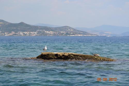 Φυσικό τοπίο κοντά σε αυτή η βίλα