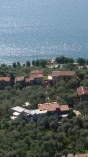 a group of houses on a hill with trees at "CASABANA" - relax tutto l'anno - giardino - piscina Top in Malcesine