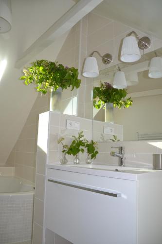 La salle de bains est pourvue d'un lavabo et de 2 plantes en pot. dans l'établissement Maison Del Traouc, à Bozouls
