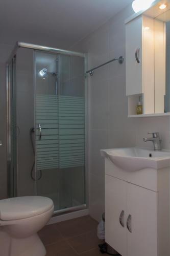 a bathroom with a shower and a toilet and a sink at Perivoli House B in Skala Eresou
