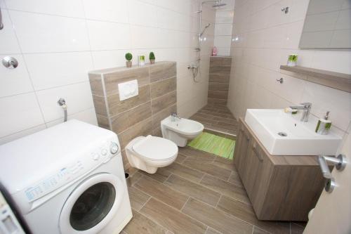 a bathroom with a toilet and a washing machine in it at Vacation home Vibor in Dračevica