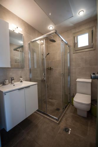 a bathroom with a shower and a toilet and a sink at Casa Sivota in Syvota
