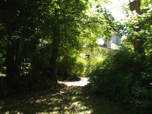 uma estrada de terra com árvores e um edifício ao fundo em VILLA ESPERANZA Suite de 2 à 4 personnes proche Zoo de Beauval et châteaux de La Loire em Valençay