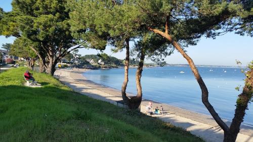 a path next to a body of water with trees at Residence des Ondines in Damgan
