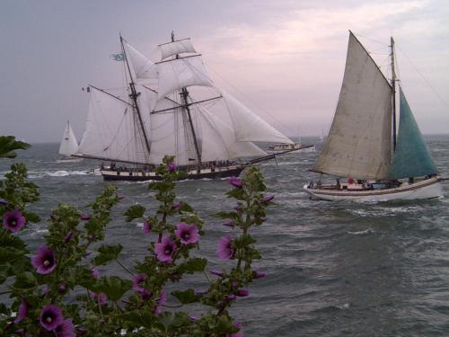 two boats sailing in the water with flowers in the foreground at Residence des Ondines in Damgan