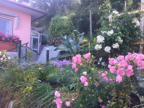 a garden of flowers in front of a pink house at Ca' Du Ale in Sestri Levante