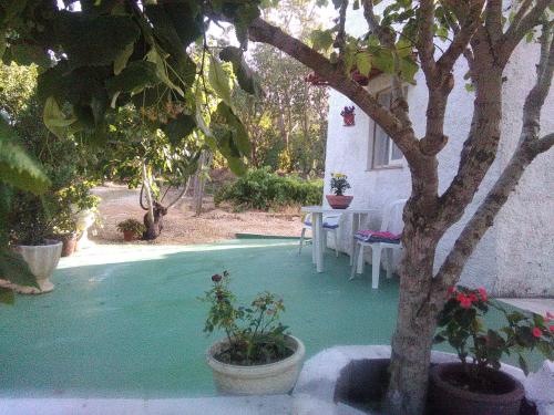 un patio con mesa, sillas y un árbol en Nature Houses, en Lagos