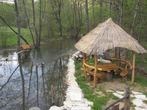 a picnic table with a straw umbrella next to a pond at Etno kuce Miljevic in Šipovo
