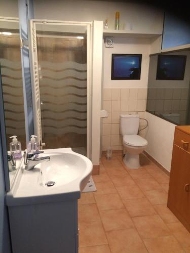 Koupelna v ubytování Appartement / Gîte Les Papillons