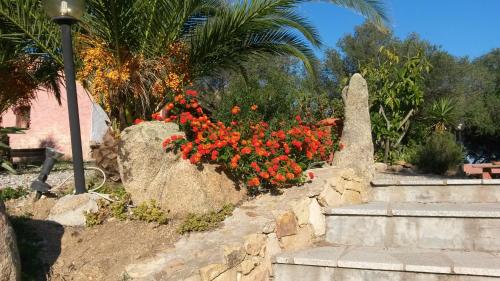 Jardín al aire libre en Hotel Turismo Rurale Montitundu