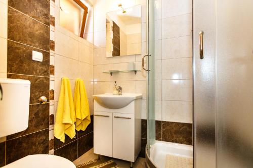 a bathroom with a toilet and a sink and a shower at Apartmani Anica in Risika