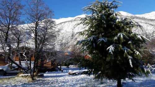 a snow covered pine tree in front of a mountain at Tatas Haus in Las Trancas